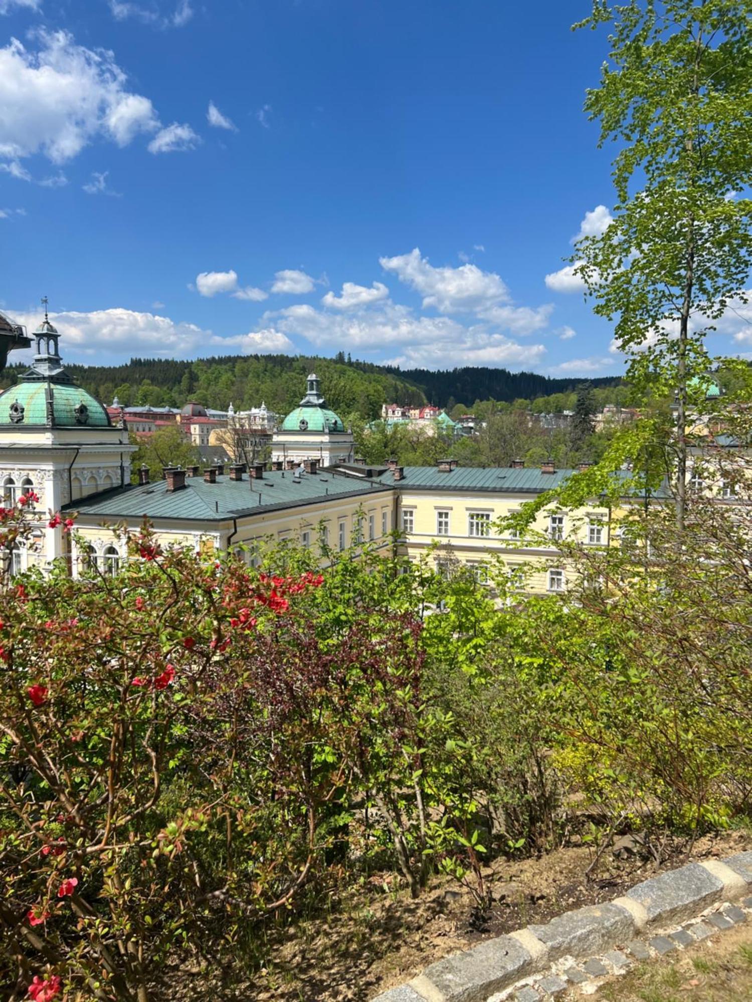 Wespartment Marienbad - City Meets Nature Buitenkant foto